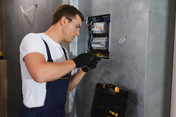 Best Affordable Emergency Electrician  in Las Lomas, TX