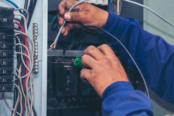 Best Local Electrician Companies  in Las Lomas, TX